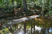 Picture: damPU05 a1