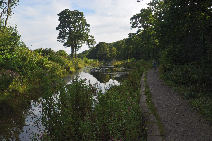Picture: damPU06 d1