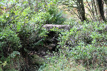 Picture: SK03 6