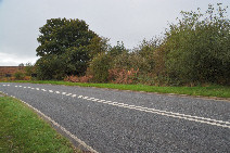 Picture: ST02 4